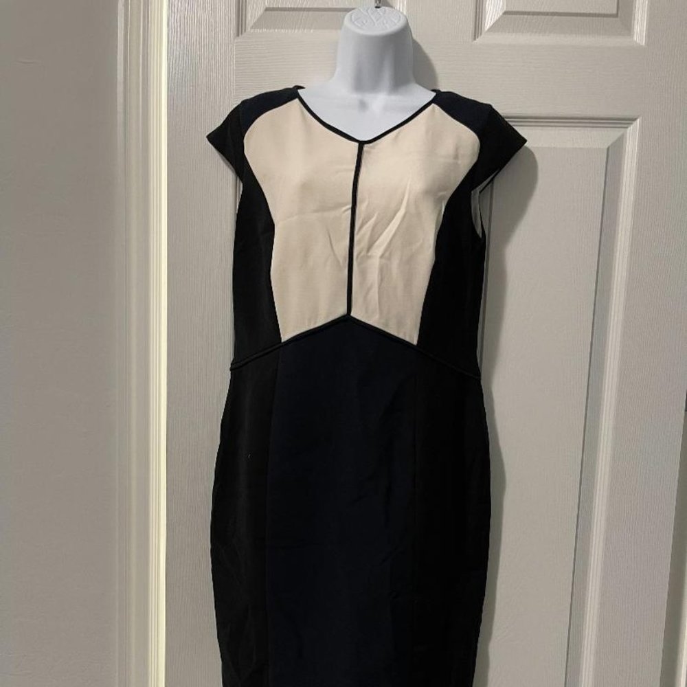 Ann Taylor Dress